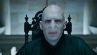 Voldemort Harry Potter villain role